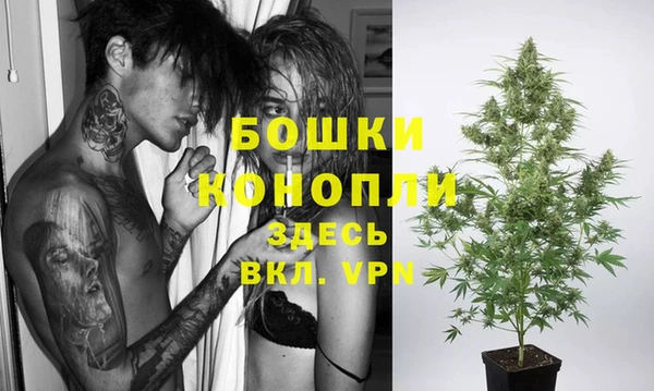 ПСИЛОЦИБИНОВЫЕ ГРИБЫ Дмитров