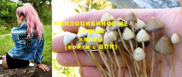 ПСИЛОЦИБИНОВЫЕ ГРИБЫ Дмитров