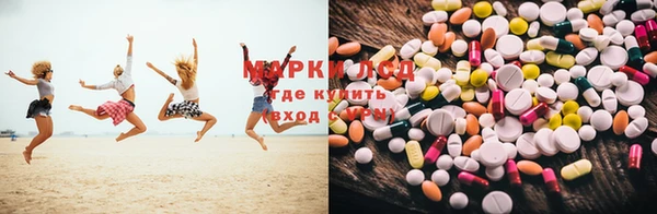 ПСИЛОЦИБИНОВЫЕ ГРИБЫ Дмитров