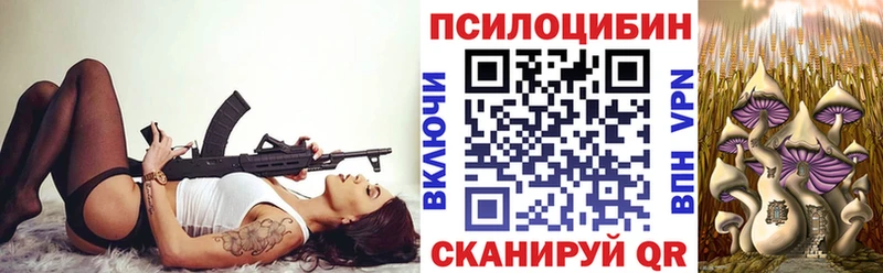 Купить где  Касли  Псилоцибиновые грибы Psilocybine cubensis 